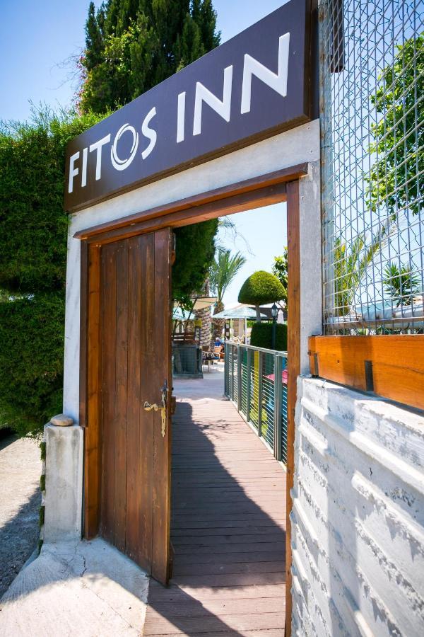 Fitosinn Hotel Paphos Kültér fotó